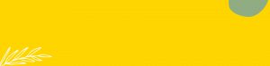 bg_abt-misvis